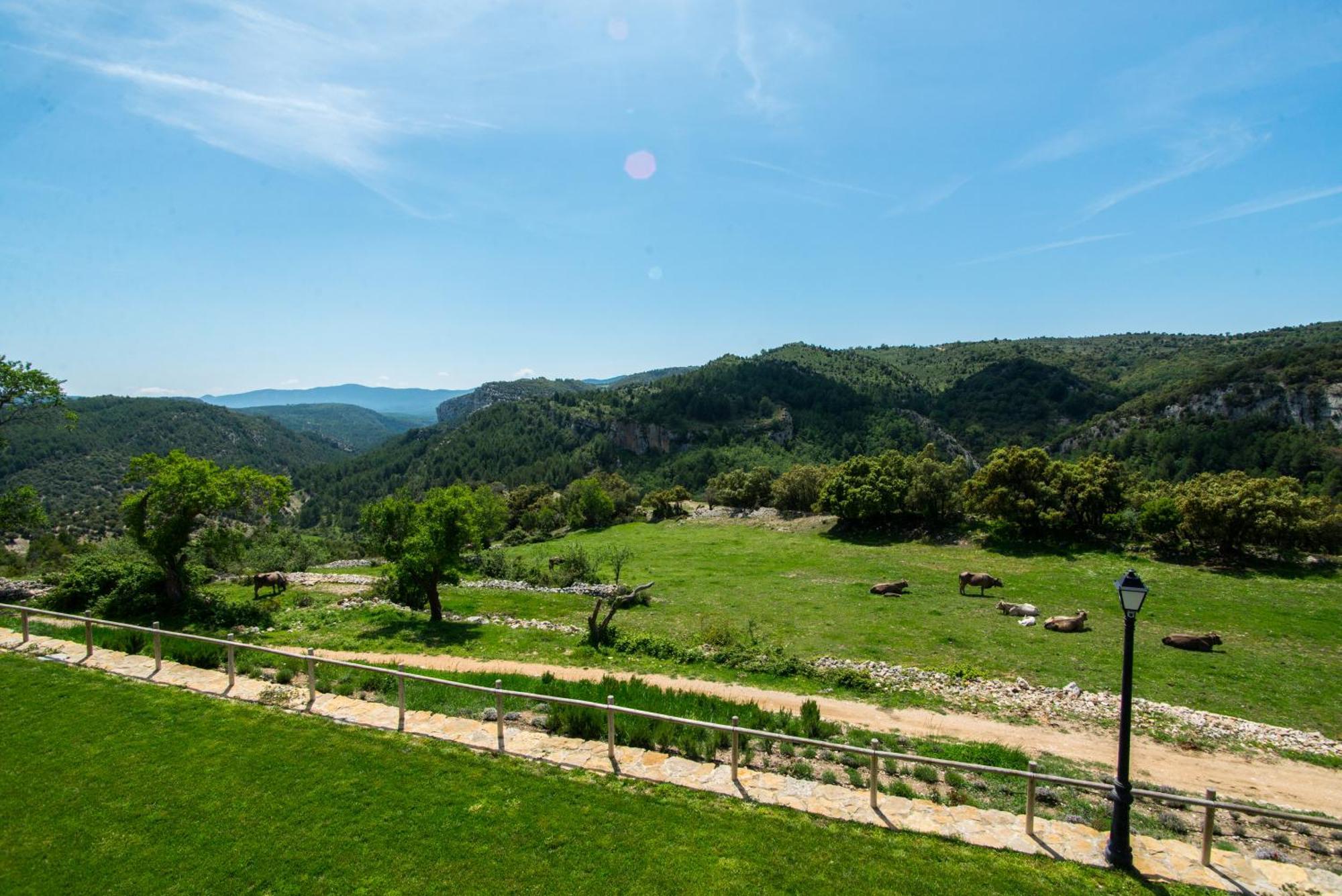 Affittacamere Font D'en Torres Solo Adultos Morella Esterno foto